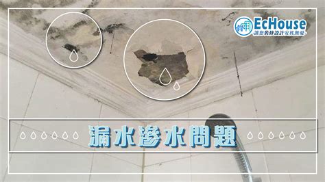 滲水 漏水|滲水問題